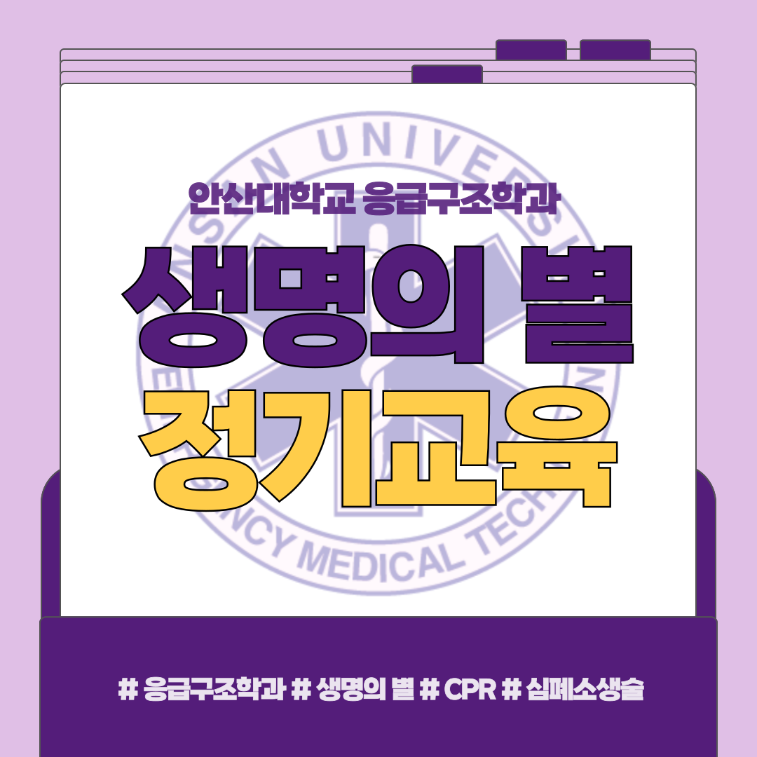 KakaoTalk_20250516_115016541.png