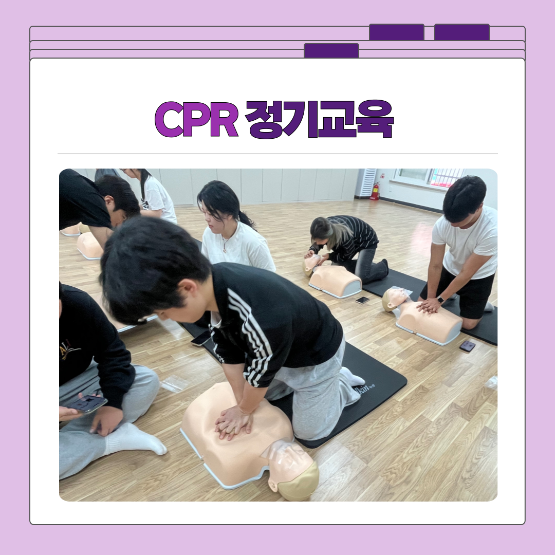KakaoTalk_20250516_115016541_02.png