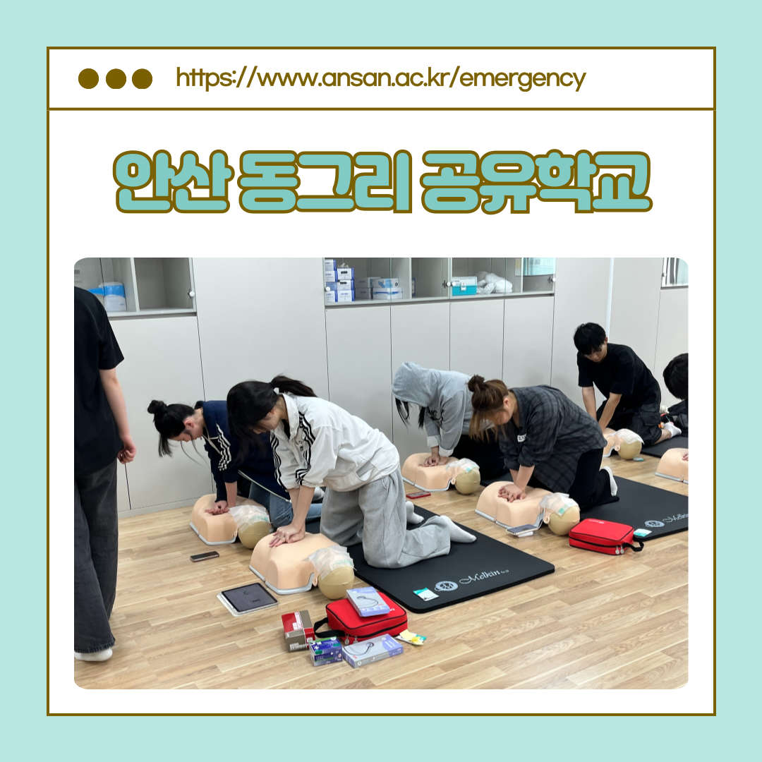 KakaoTalk_20250604_113035567_03.png