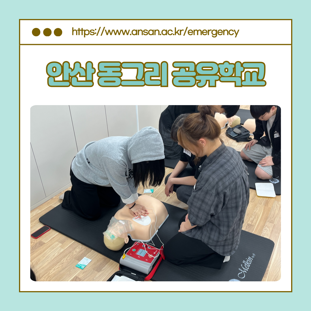 KakaoTalk_20250604_113035567_05.png