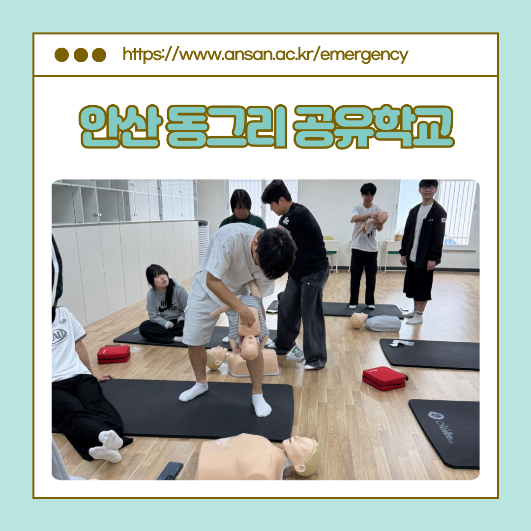 KakaoTalk_20250609_143356091_03.png