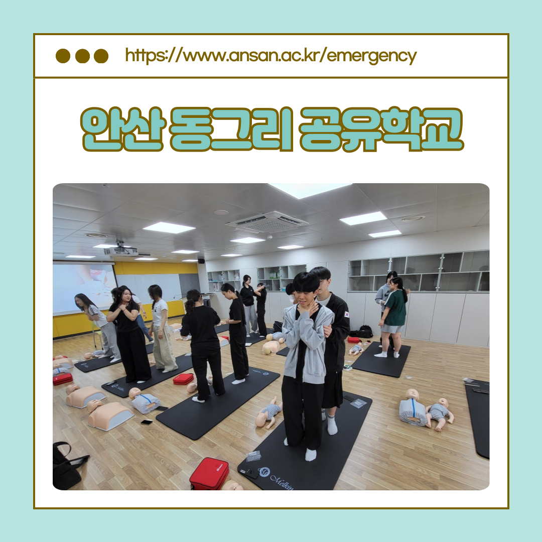 KakaoTalk_20250609_143356091_09.png