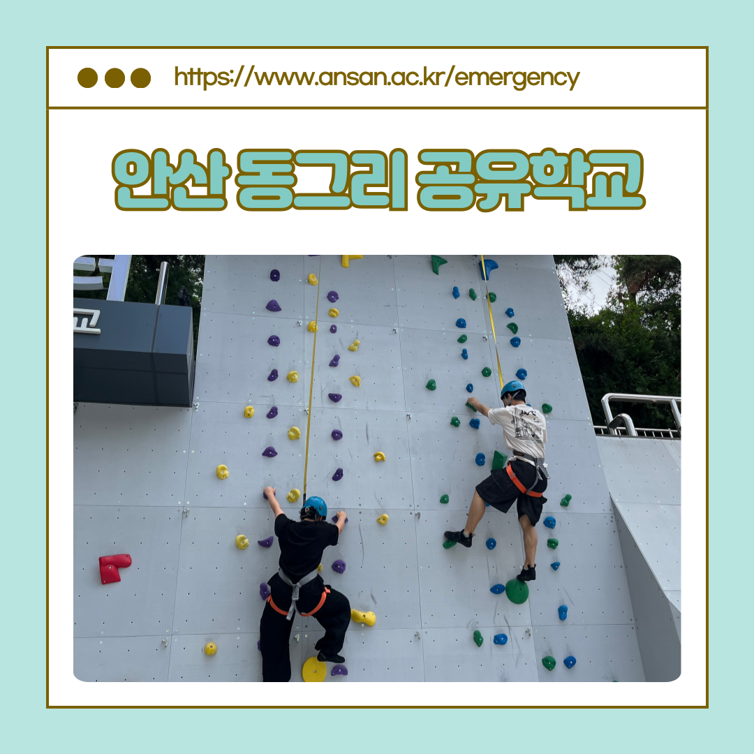 KakaoTalk_20250617_141132134_09.png