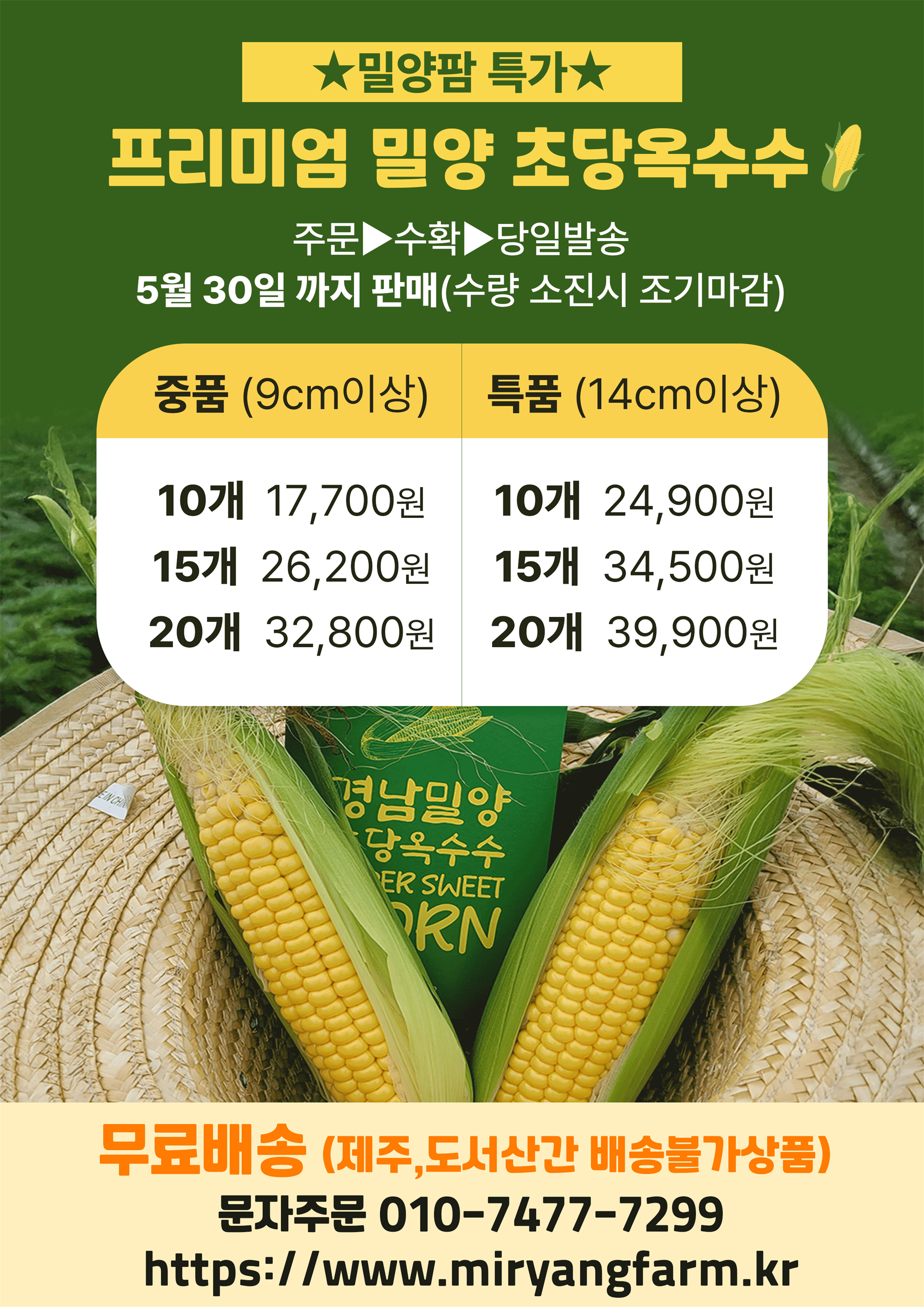 초당옥수수.png