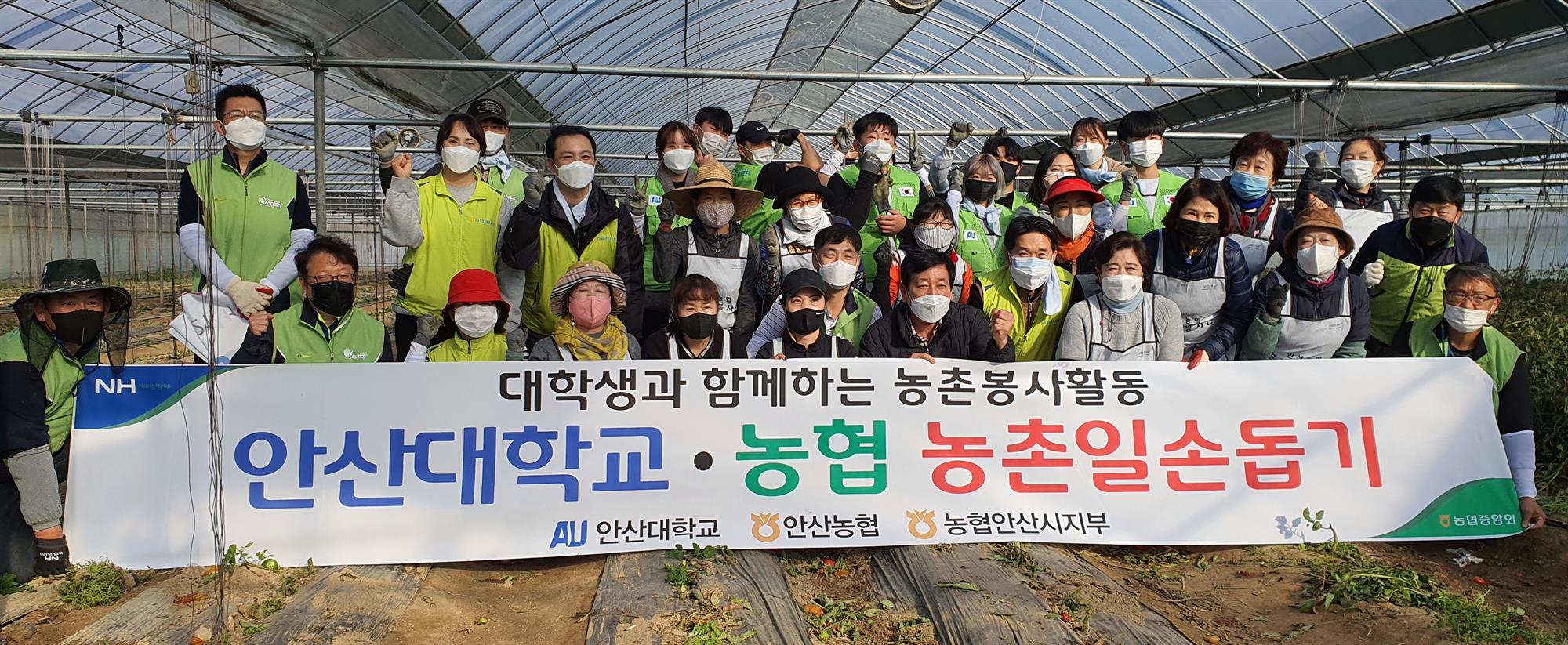 100_211117_안산대학교·농협 안산시지부 ‘농촌일손돕기’ 봉사활동 진행_사진.jpg