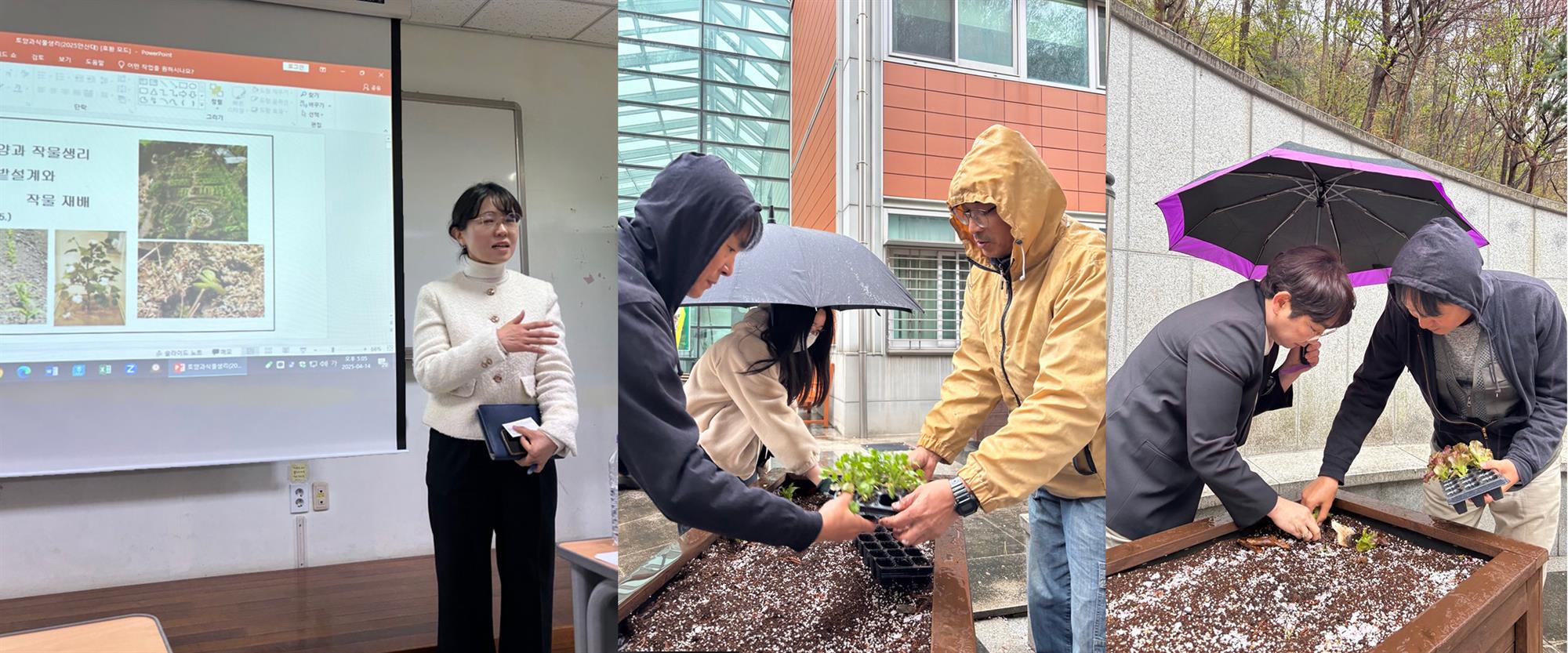 068_250421_안산대학교 간호학과 도시농업 연계 청년 치유텃밭 프로그램 본격 운영.jpg