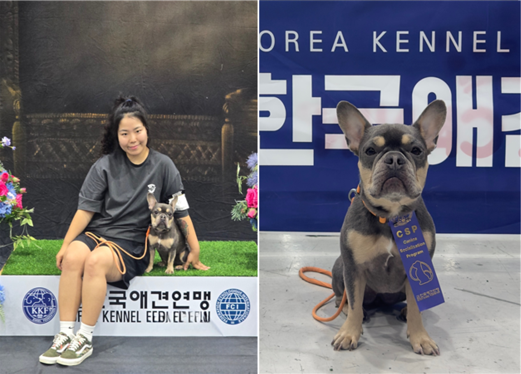 190_250619_안산대학교 동물매개케어학과 KKF한국애견연맹 주최 반려견 사회화(CSP) 테스트 전원 합격 쾌거2.png