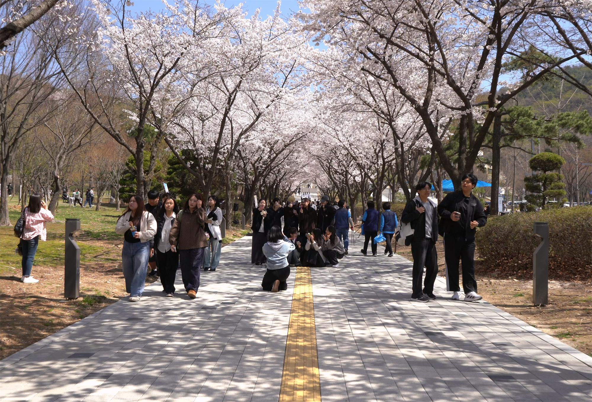 076_260414 안산대학교, 새 단장한 벚꽃길에서 ‘선홍제’ 성황리 개최1.png