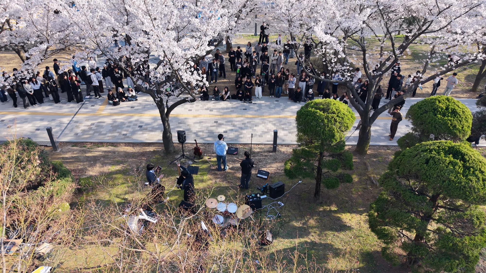 076_260414 안산대학교, 새 단장한 벚꽃길에서 ‘선홍제’ 성황리 개최2.jpg